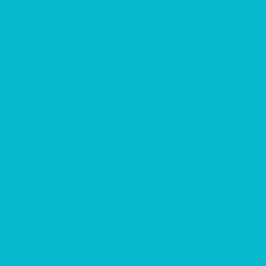 Meet your Posher, Jade